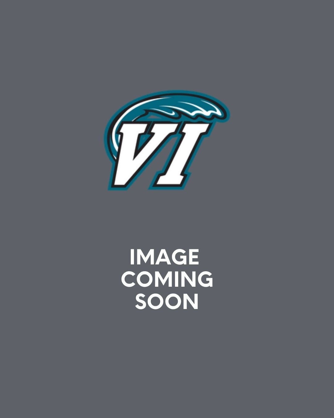 Patrick Thibeault, Head Coach image